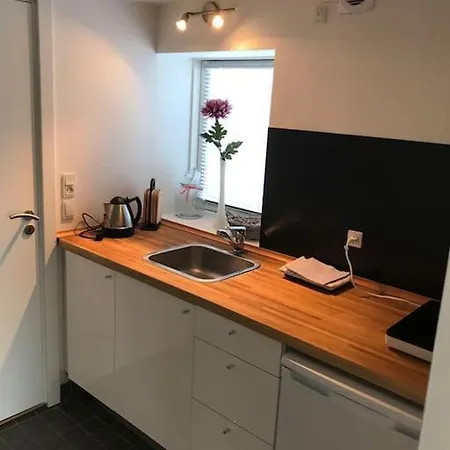 公寓 Anneks Med Egen Indgang Naer Roskilde Gadstrup